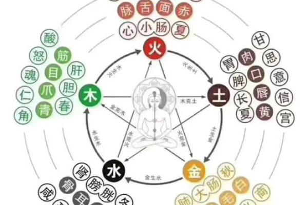 光在五行中的分类与作用