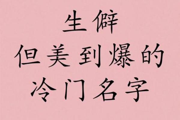 一臻这个名字的寓意与象征意义探讨