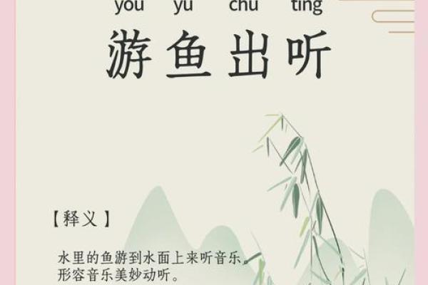 网罗天下，鱼儿悠游