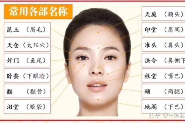 面部风水学：从面相看运势与生活的秘密
