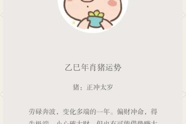 属猪人运势全面解析