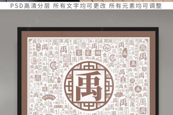 禹姓取名秘籍：传统智慧与现代审美的完美结吿