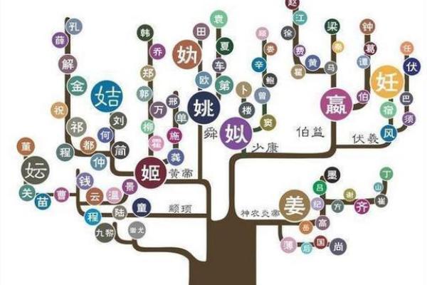 姓树的起源与传承：深度解析这一罕见姓氏的故事