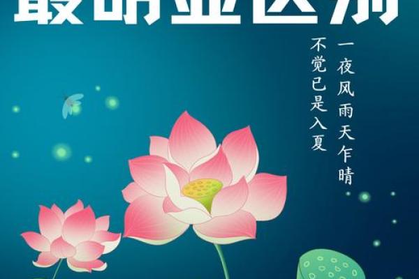 莲字在公司起名中的独特寓意与创意运用
