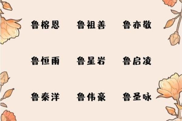 鲁姓命名艺术：探寻独特名字的魅力