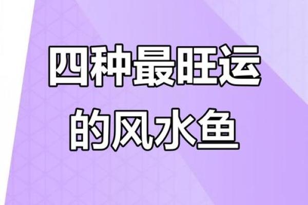 风水大师亲授：养几条鱼，财运亨通不是梦！