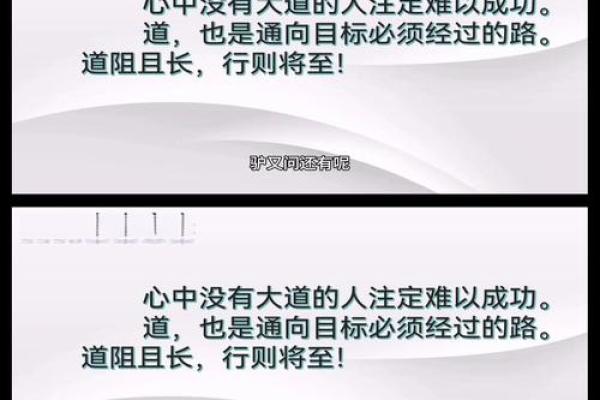 金辉照耀未来 企业命名的成功之道
