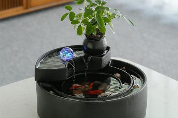 家中财运滚滚，招财水桶必选神器！