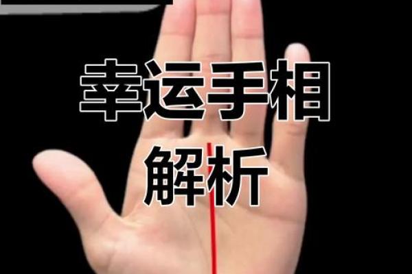 手相秘术：揭秘命运走势的神奇奥秘