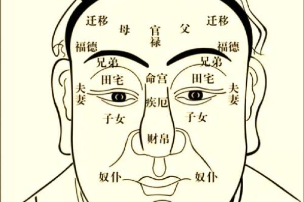 探索鼻子运势与个人运气的神秘联系