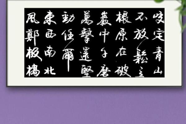稻香满溢话重阳，登高赏菊乐无穷