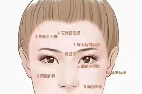额头毛发旺盛面相解析