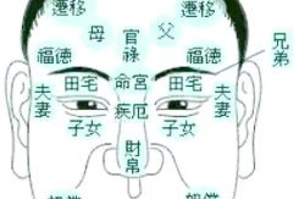 额头毛发旺盛面相解析