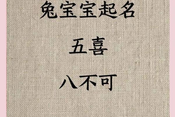 兔年宝宝，寓意吉祥的取名策略