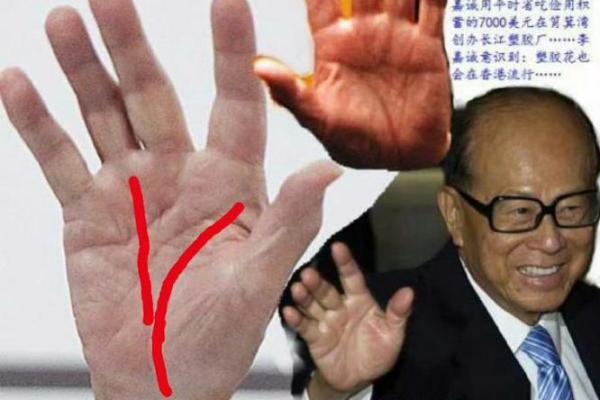 掌上乾坤，揭秘男人手相的神奇密码