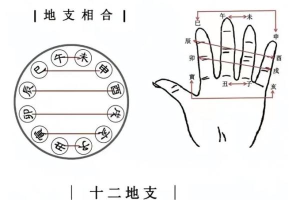 流年地支相冲：揭秘相冲带来的机遇与挑战