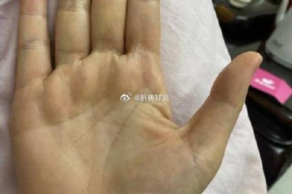 手中川字纹女性，揭秘你的财运和事业巅峰！