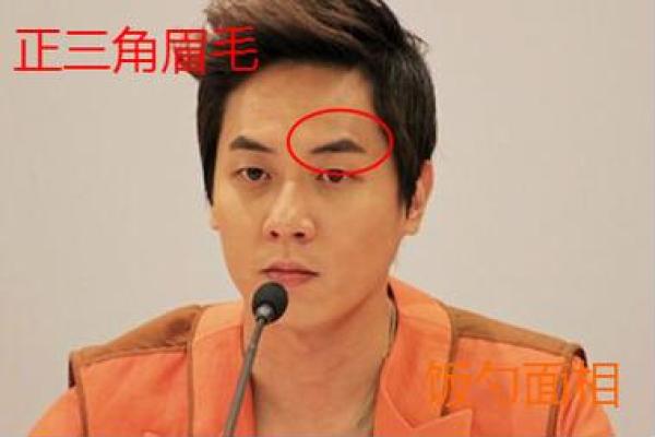 男人眉宽面相之豪情万丈面相解析