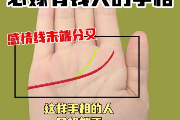 神秘手相预示：看手相预测生育吉时，助力优生优育