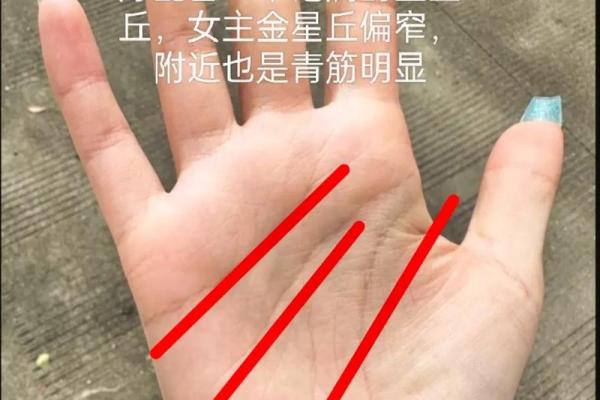 神秘手相预示：看手相预测生育吉时，助力优生优育