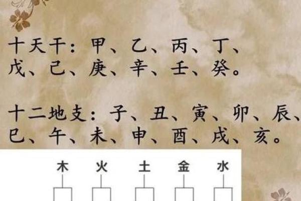 解锁五行奥秘，天干地支图教你趋吉避凶