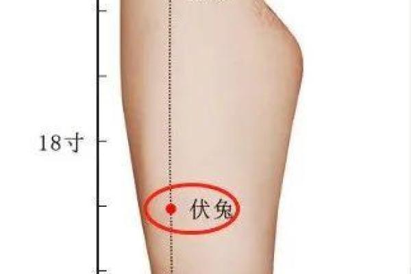大腿白毛竟有这神奇命理！一查惊人