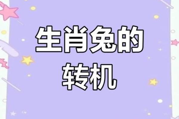 属兔明日运势大揭秘：转运福星闪耀，惊喜连连