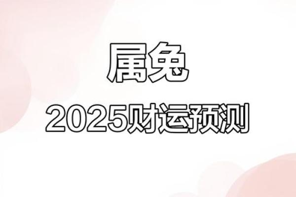 属兔明日运势大揭秘：转运福星闪耀，惊喜连连