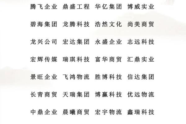 探讨公司起名中“宏”字的象征意义与应用