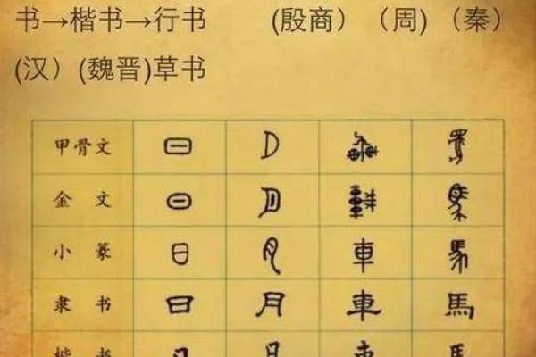走近古老的符号：解读传统文化中的经典词汇