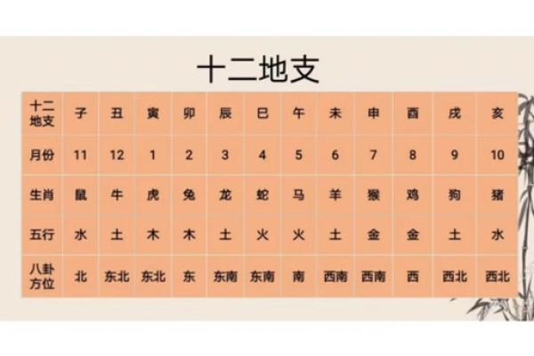 地支跃动，天干闪耀，9月2日惊喜不断