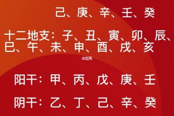 地支跃动，天干闪耀，9月2日惊喜不断