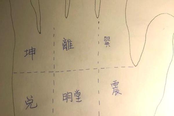 手相胜于面相，揭秘命运密码的神奇之处