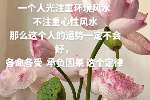 靠窗风水：解锁办公室事业好运的秘密