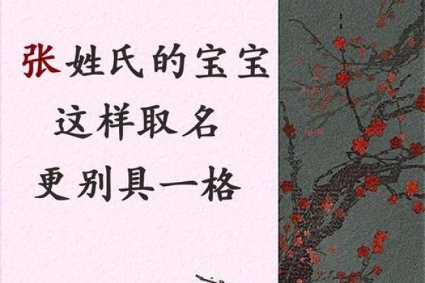 张之名字的深刻寓意与文化传承