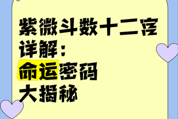 解锁命运密码：偏母命理揭秘人生起伏