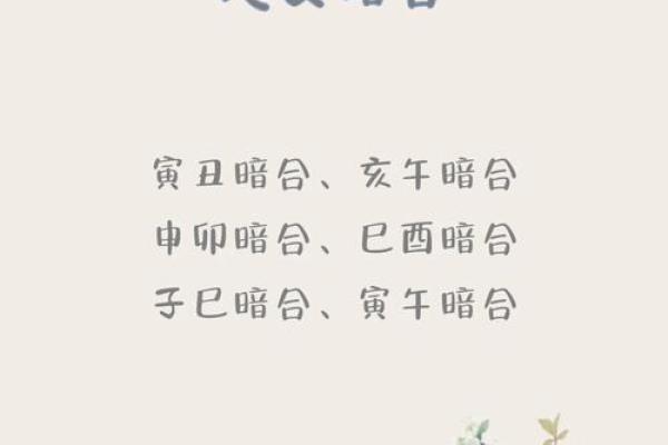 地支秘术：一招掌握地支，解锁你的运势密码