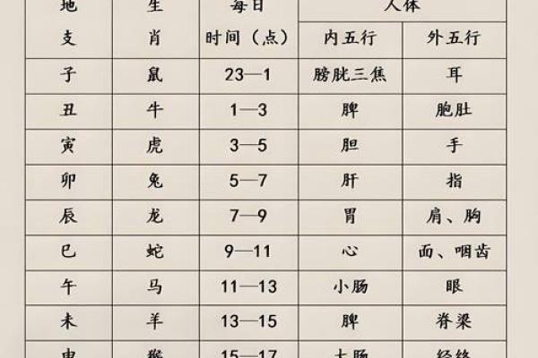 地支秘术：一招掌握地支，解锁你的运势密码