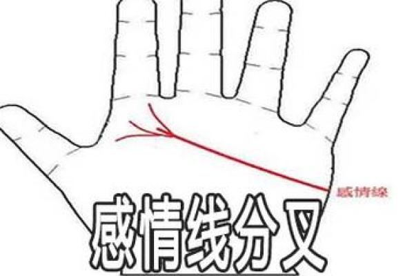 手相解密：情感线分叉预示着怎样的爱情轨迹？