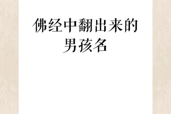 龙脉相传，寓意美好的宝宝名字盘点