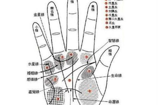 手上痣的奥秘：揭秘你的财运、健康和爱情！