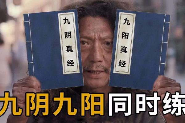 九阴绝响·探寻名字中的武学奥秘