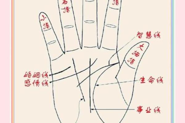 翁美玲手相揭秘：命运线与爱情线的奇妙交织