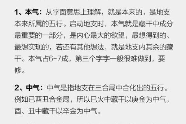 古人智慧结晶：地支本气与藏干全面解读