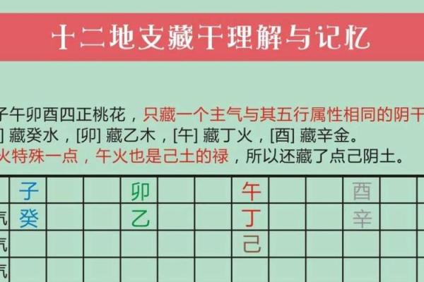 古人智慧结晶：地支本气与藏干全面解读