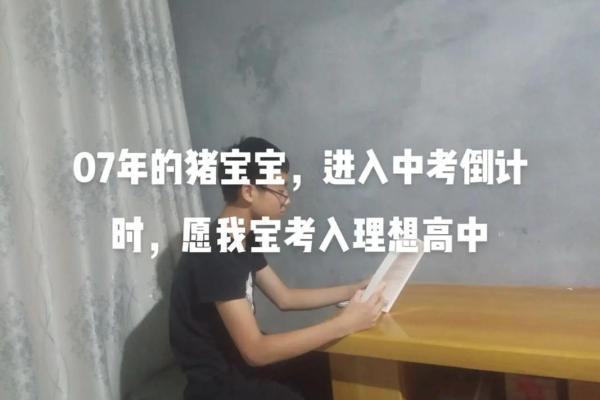 寅时猪宝宝吉祥好名推荐
