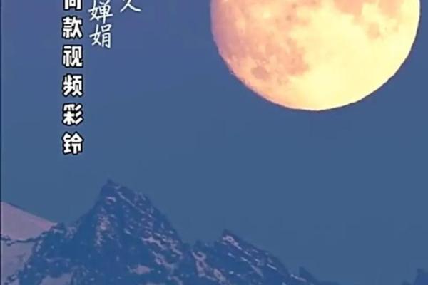 月圆人团圆，中秋赏月寄相思