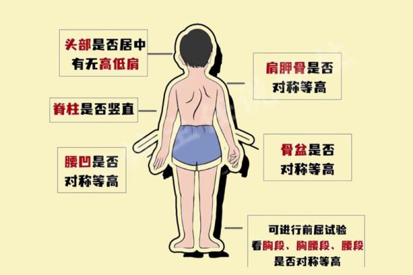 脊柱痣相解析：探寻你的命运轨迹