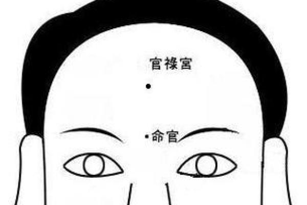 面相揭秘：晚稻看面相，豆瓣解析人生运势