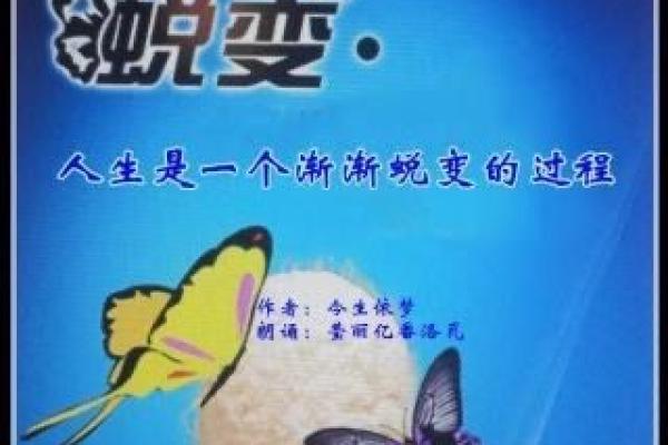 李亮的奋斗历程：从普通到卓越的蜕变